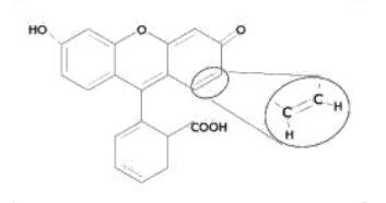 熒光的結(jié)構(gòu)