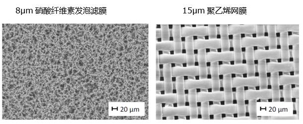 圖4:發(fā)泡濾膜和網(wǎng)膜的結(jié)構(gòu)對(duì)比